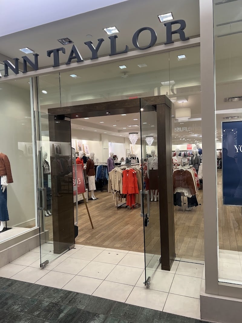 Ann Taylor
