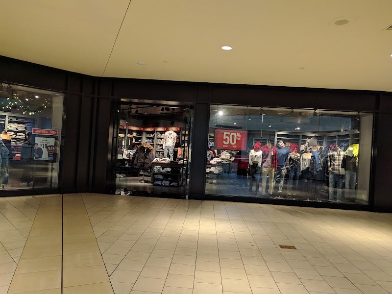 Hollister Co.